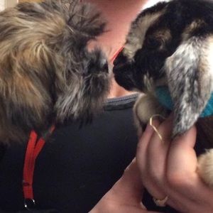 Meet your Posher, Kathy